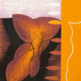 INTERNAL FLOW 5, 2005, 40 x 40 cm